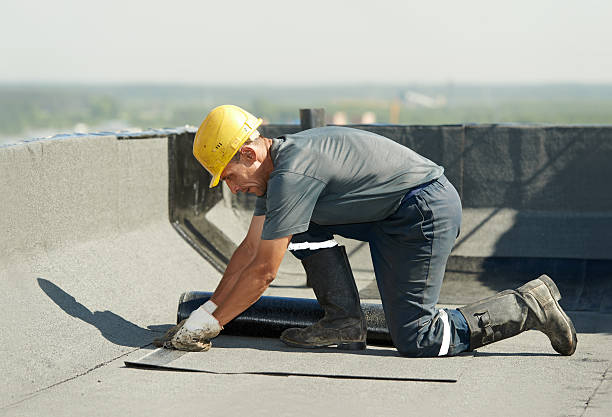 Best Insulation Installation Services in Lafayette, OR